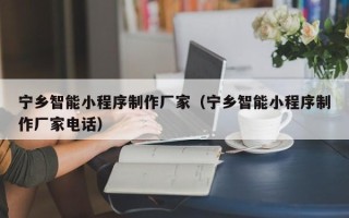 郑州宁乡智能小程序制作厂家（宁乡智能小程序制作厂家电话）