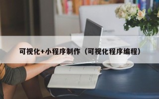 郑州可视化+小程序制作（可视化程序编程）
